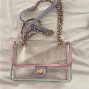 Clear Translucent Purse